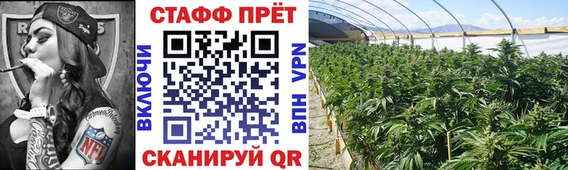 Наркошоп купить Alpha PVP Галлюциногенные грибы Гашиш Мефедрон Амфетамин Великий Устюг