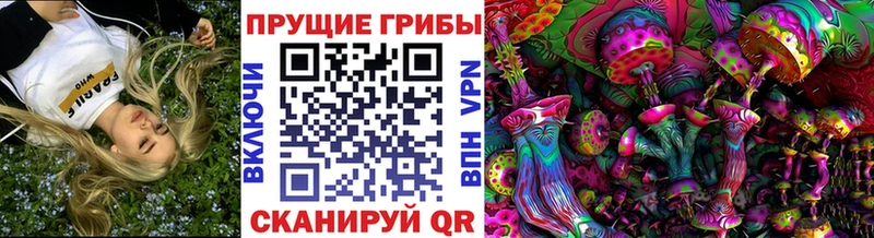Псилоцибиновые грибы ЛСД  Купить где  Великий Устюг 